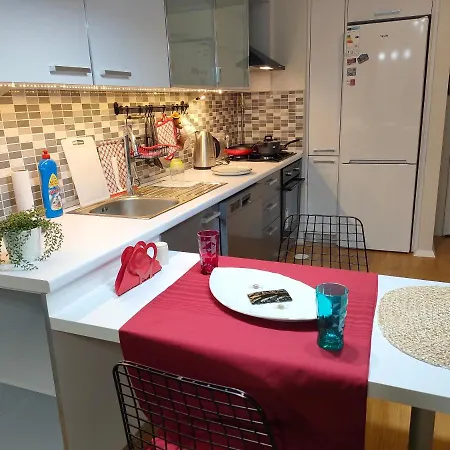 Hotel Apartment In A Residential Complex Istambul